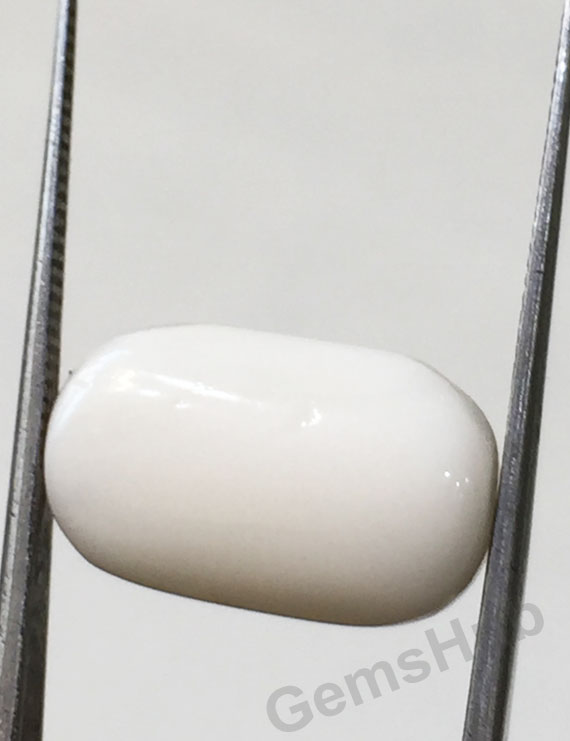 12.50 ratti/11.31 ct Natural Certified  White Coral/सफ़ेद मूंगा